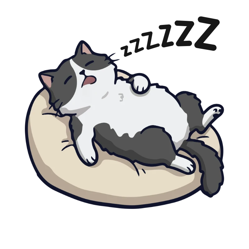 Cama gato