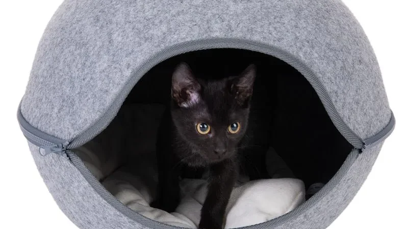 Gato negro asomado desde el interior de la cueva de fieltro gris Big Baby, con la entrada ovalada y el cojín blanco a la vista