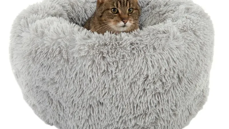 Cama redonda Mochi de felpa gris claro con un gato atigrado acurrucado dentro, rodeado por el borde elevado y flexible