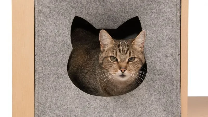 Cubo de fieltro gris de treinta y tres centímetros con la entrada recortada en forma de cabeza de gato y cojín reversible