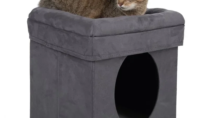 Cueva plegable Cubo de microfibra gris con un gato atigrado tumbado en la cama superior y la entrada redonda de la cueva debajo