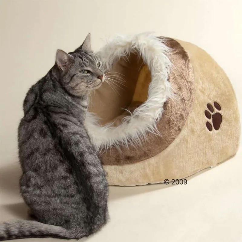 Cueva Trixie Minou