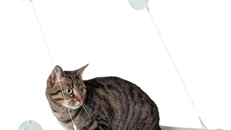 Hamaca de ventana Karlie fijada al cristal con cuatro ventosas, con un gato atigrado sentado encima