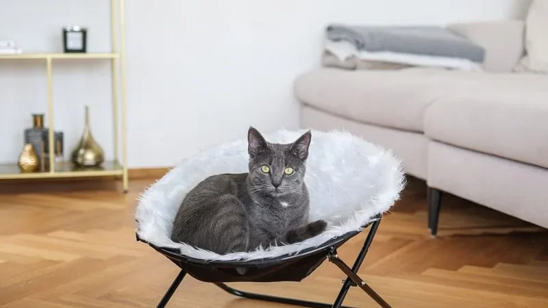 Sillón redondo de peluche blanco elevado del suelo, con respaldo alto detrás y borde bajo delante