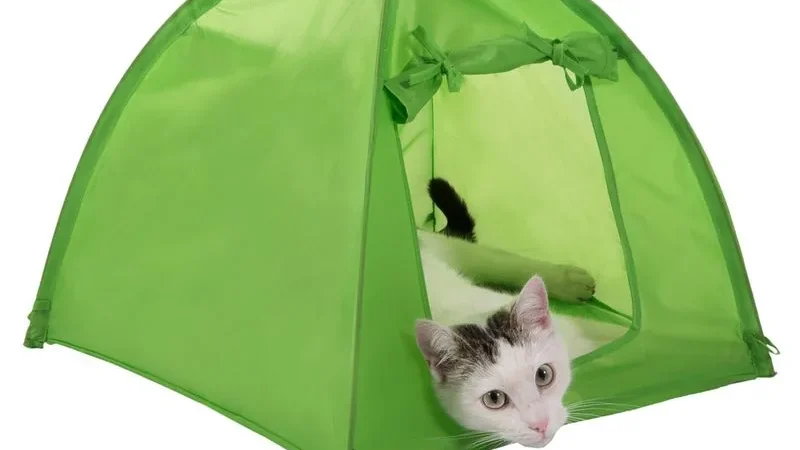 Tienda de campaña Cat Camp de nailon verde con la puerta enrollada y un gato asomando la cabeza por la entrada